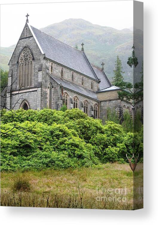 Scottish Highlands Canvas Print featuring the photograph Peekaboo Deer by Denise Railey