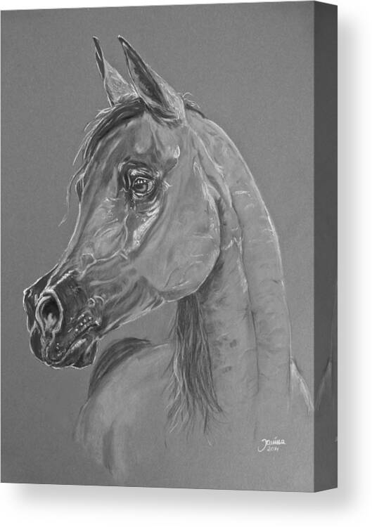 Horses Canvas Print featuring the pastel Pianissima by Janina Suuronen