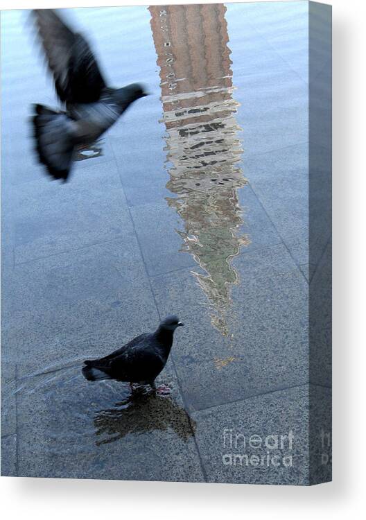 Acqua Alta Canvas Print featuring the photograph 	Pigeons in Piazza San Marco. Venice. Italy. by Bernard Jaubert