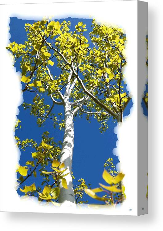 Poplar Tree In Spring Canvas Print featuring the digital art Poplar Tree In Spring by Will Borden