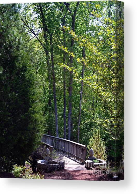 Nature Scene Canvas Print featuring the photograph Portal to the Woods by Eva Thomas