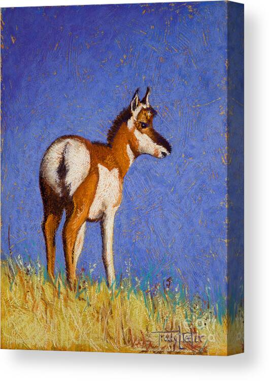 Pronghorn Canvas Print featuring the pastel Prairie Native by Tracy L Teeter 