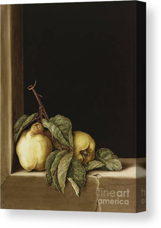 Still Life Canvas Print featuring the painting Quinces by Jenny Barron