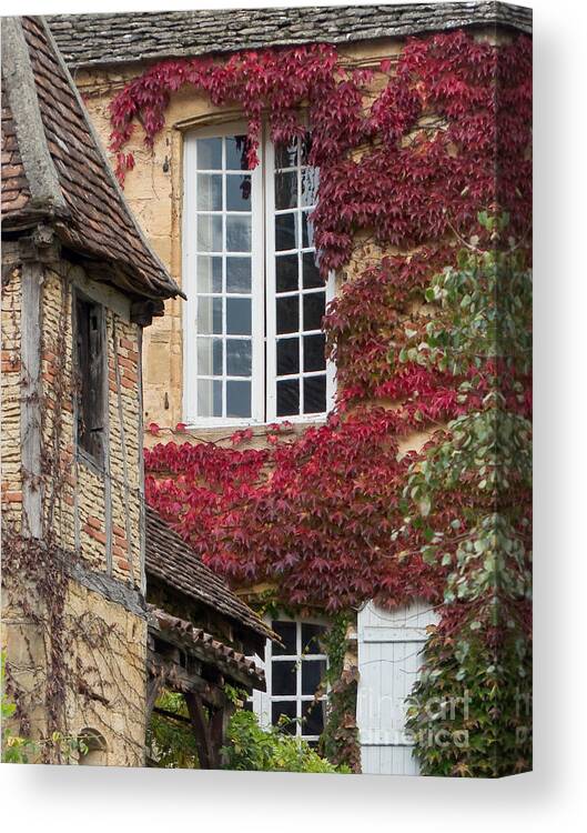 Window Canvas Print featuring the photograph Red Ivy Window by Paul Topp