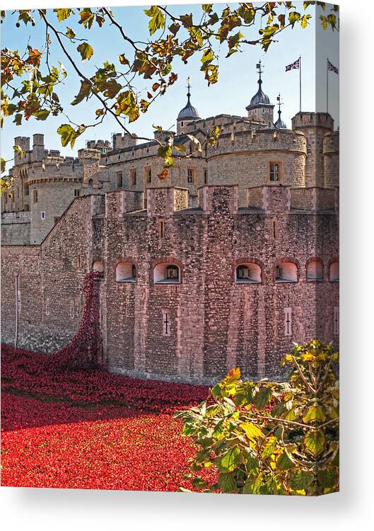 London Canvas Print featuring the photograph Remembering The Fallen by Gill Billington