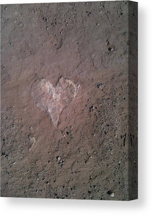 Rock Canvas Print featuring the photograph Rock Heart by Claudia Goodell