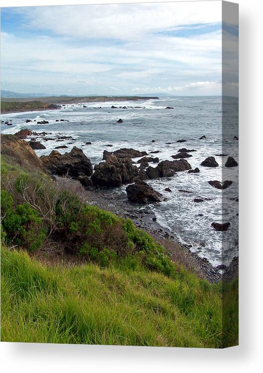 Coastline Canvas Print featuring the photograph Rocky Beach by Jennifer Robin