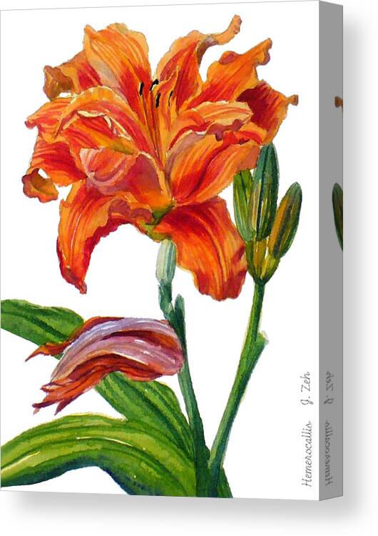 Daylily Canvas Print featuring the painting Ruffled Orange Daylily - Hemerocallis by Janet Zeh