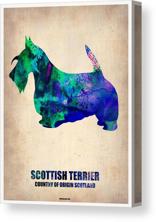 Scottish Terrier Canvas Print featuring the painting Scottish Terrier Poster by Naxart Studio