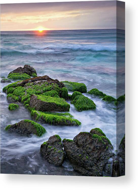 Scenics Canvas Print featuring the photograph Seaweed, Granite And Blue Water by Peter G Knott