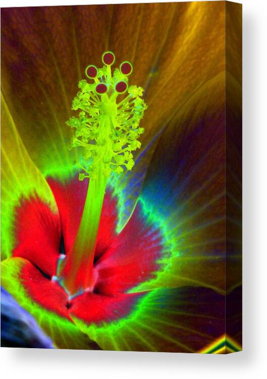 Hibiscus Canvas Print featuring the photograph Shades of Summer - PhotoPower 2306 by Pamela Critchlow