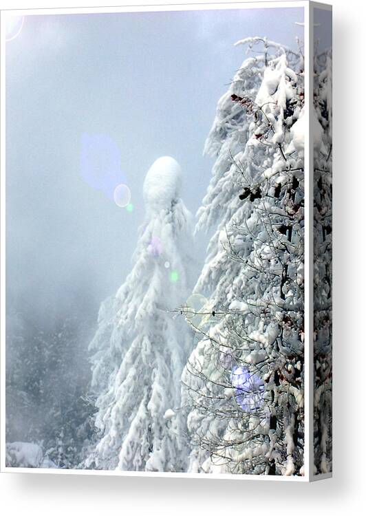 Landscape Canvas Print featuring the photograph Snowy trees by Kae Cheatham