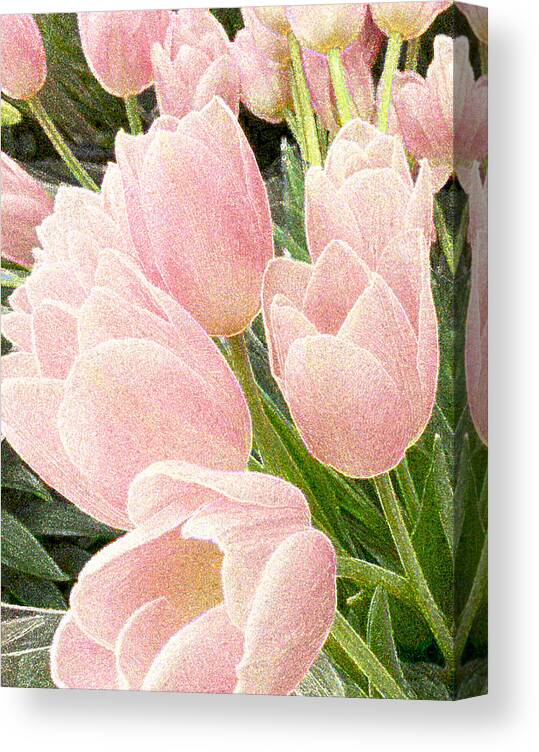 Tulips Canvas Print featuring the photograph Sparkling Tulips by Jo Smoley