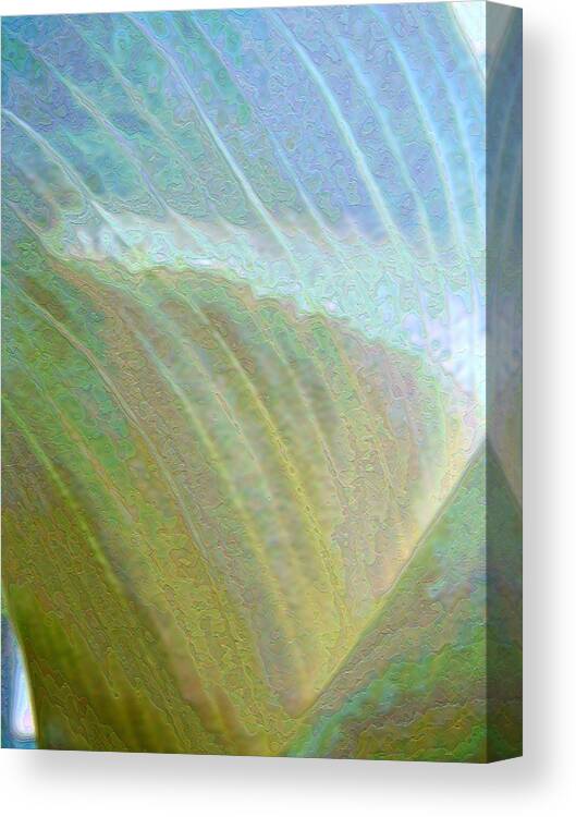 Lily Canvas Print featuring the photograph Spectrum Calla Lily by Lora Fisher
