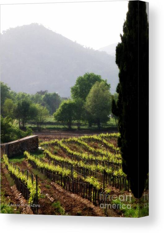 Vineyard Canvas Print featuring the photograph Spring Vines in Provence by Lainie Wrightson