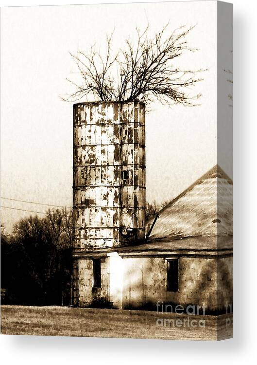 Architecture Canvas Print featuring the photograph Still Supporting Life by Marcia Lee Jones