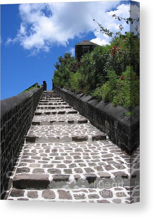 St.kitts Canvas Print featuring the photograph St.Kitts - Ascent by HEVi FineArt