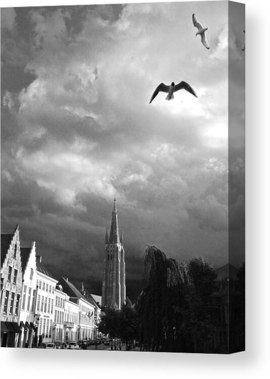 Sea Gulls Canvas Print featuring the photograph Stormy gulls by Matt MacMillan