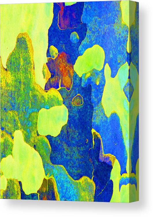 Bark Canvas Print featuring the photograph Summer Eucalypt Abstract 14 by Margaret Saheed