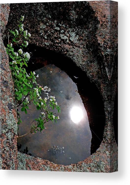 Reflections Canvas Print featuring the photograph Sun reflection by George Tuffy