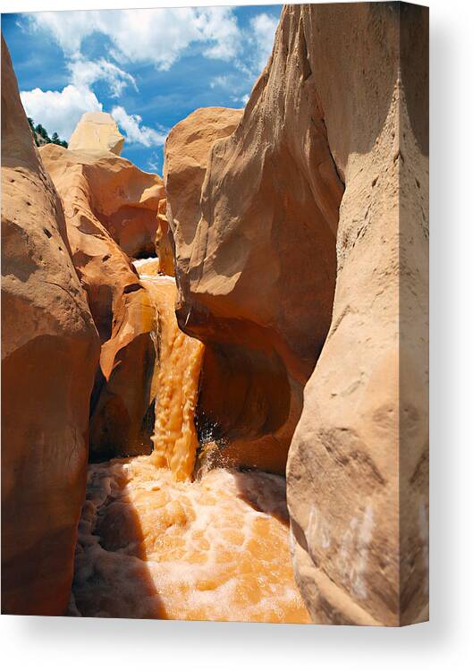Slot Canyons Canvas Print featuring the photograph The Red Clay Faces of Willis Creek 2 by Joe Schofield