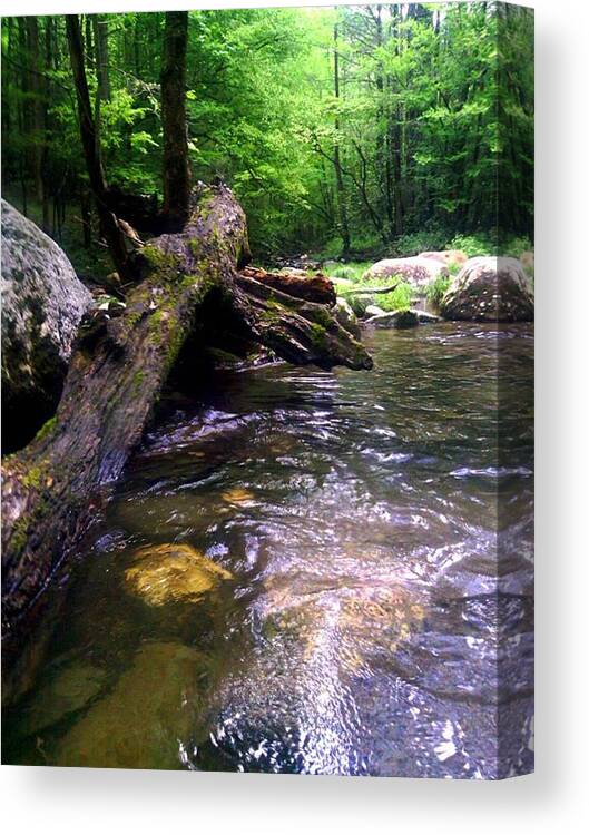 River Canvas Print featuring the photograph The Fallen by Dwayne Gresham