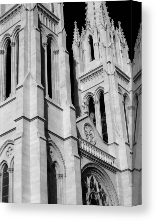 The Heights Of The Cathedral Basilica Of The Immaculate Conception Canvas Print featuring the photograph The Heights Of The Cathedral Basilica of the Immaculate Conception BW by Angelina Tamez