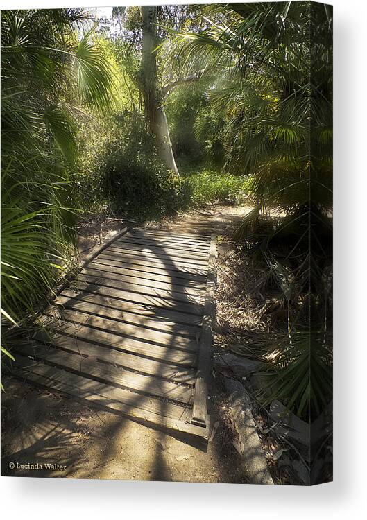 Nature Canvas Print featuring the photograph The Journey Along the Path Comes with Light and Shadows by Lucinda Walter