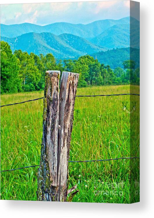 Fence Post Canvas Print featuring the photograph The Post by Southern Photo