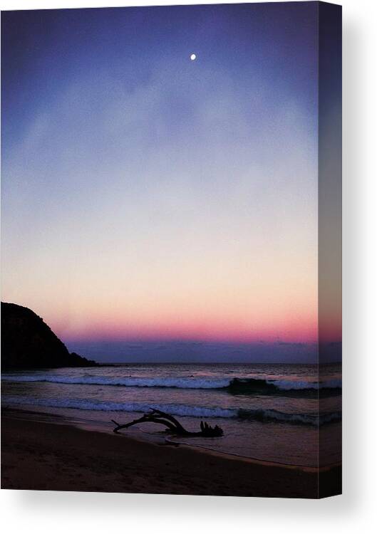 Landscape Canvas Print featuring the photograph The Prince of Purple by Guy Hay