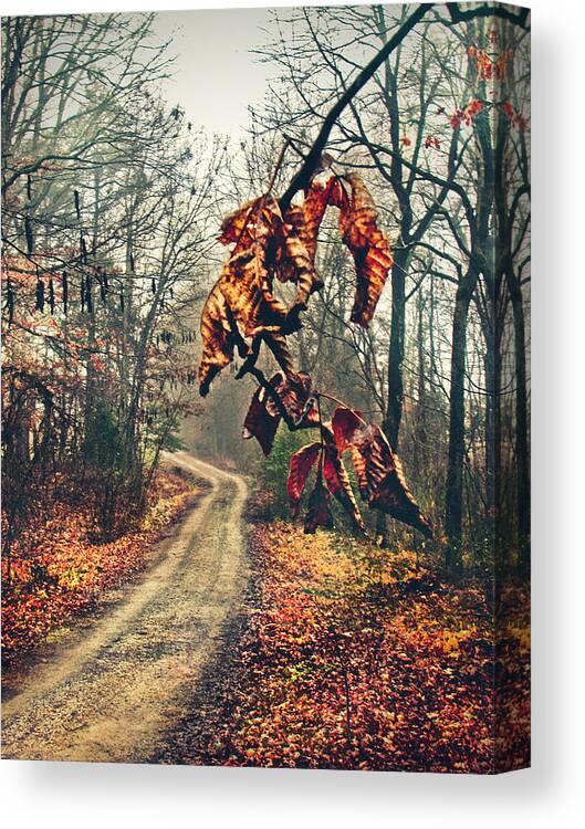 Road Canvas Print featuring the photograph The Road Home by Jessica Brawley