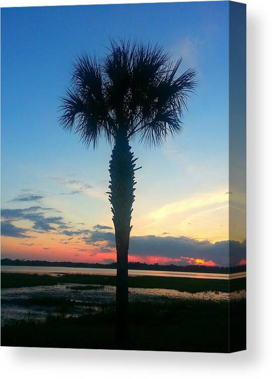  Canvas Print featuring the photograph The Solo Palm by Joetta Beauford