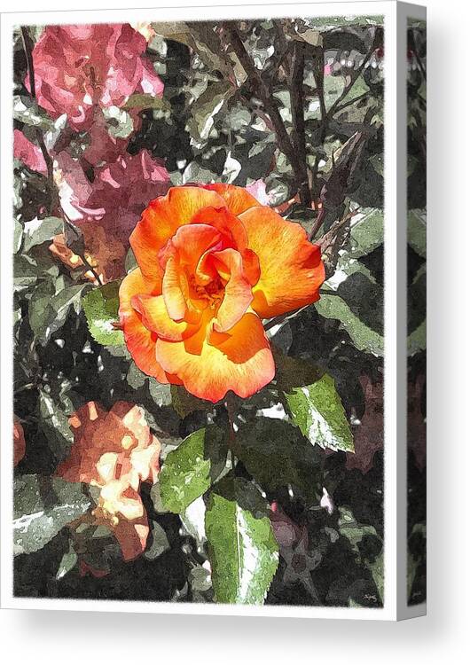 Spring Rose Canvas Print featuring the photograph The Spring Rose by Glenn McCarthy Art and Photography