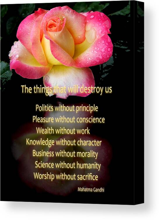 Quote Canvas Print featuring the photograph The things that will destroy us by George Bostian