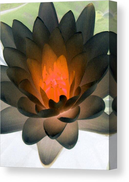Water Lilies Canvas Print featuring the photograph The Water Lilies Collection - PhotoPower 1036 by Pamela Critchlow