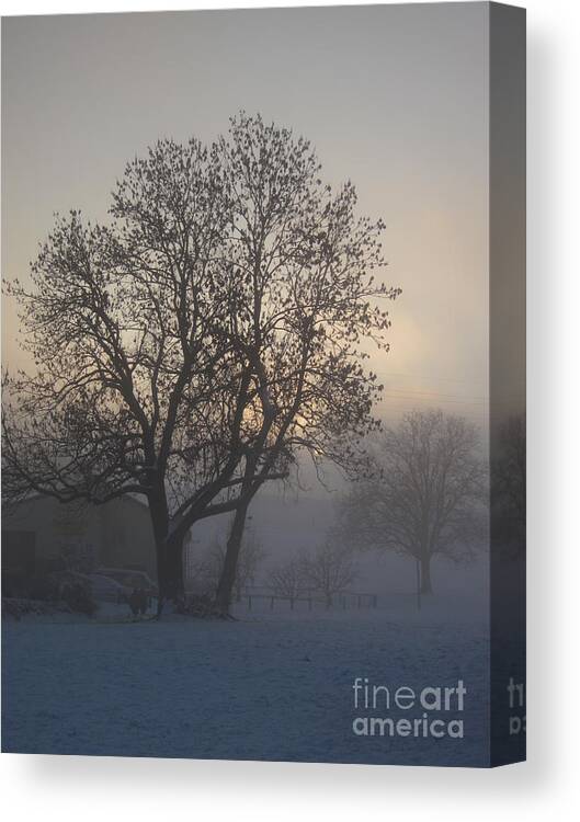 Tree Canvas Print featuring the photograph Tree in the foggy winter landscape by Amanda Mohler