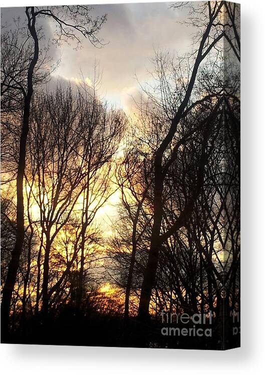 Landscape Canvas Print featuring the photograph Treesome Sunset by Brianna Kelly