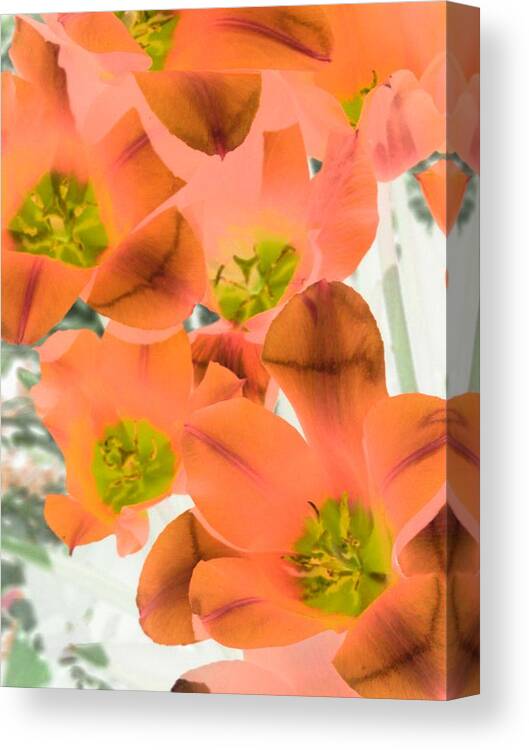 Tulip Canvas Print featuring the photograph Tulips - Field With Love - PhotoPower 1995 by Pamela Critchlow