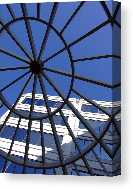 Blue Canvas Print featuring the photograph Turning Skyward by Donna Blackhall