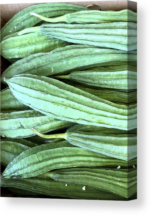 Gourd Canvas Print featuring the photograph Ugly is Beautiful by Daniela White Images
