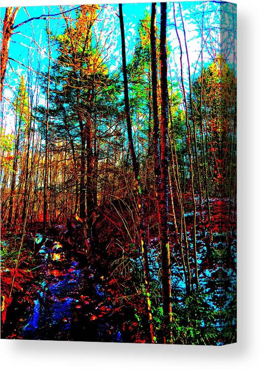 Landscape Canvas Print featuring the photograph Upland Trail 2014 220 by George Ramos