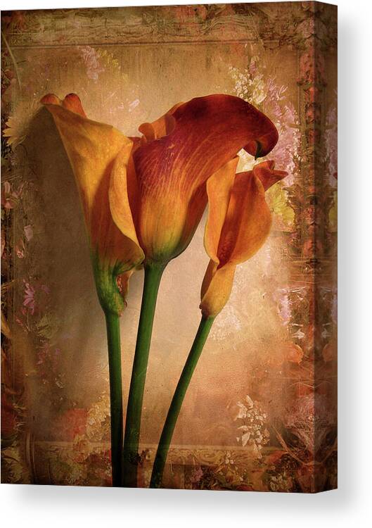 Flower Canvas Print featuring the photograph Vintage Calla Lily by Jessica Jenney