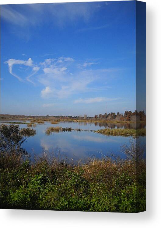 Landscape Photography Canvas Print featuring the photograph Wading Bird Way 001 by Christopher Mercer