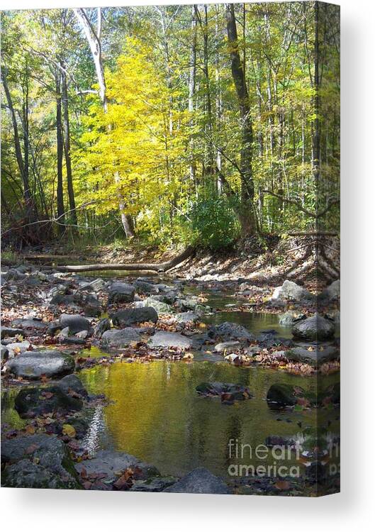 Fall Trees Canvas Print featuring the photograph Water Trail McCormick's Creek State Park by Pamela Clements