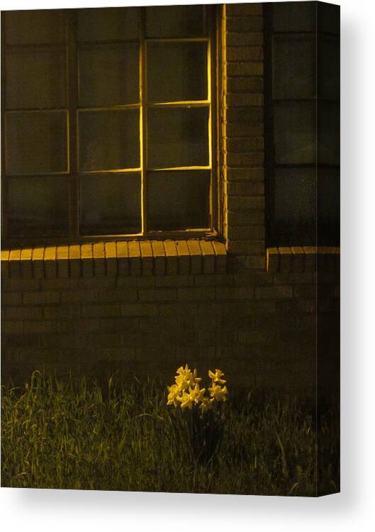 Guy Ricketts Photography Canvas Print featuring the photograph Wind and Window Flower by Guy Ricketts
