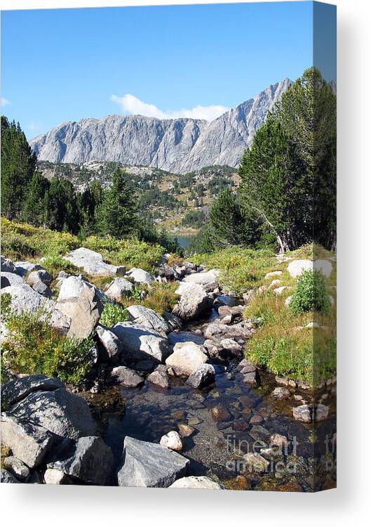 Wyoming Canvas Print featuring the photograph Wind River Range by Betty Morgan