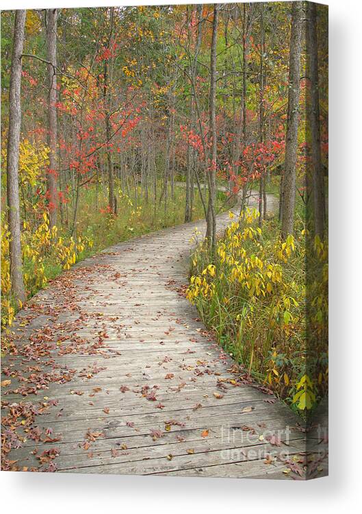 Autumn Canvas Print featuring the photograph Winding Woods Walk by Ann Horn