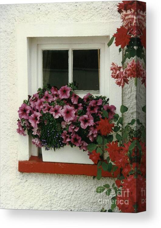 Window Canvas Print featuring the photograph Window by Joe Cashin