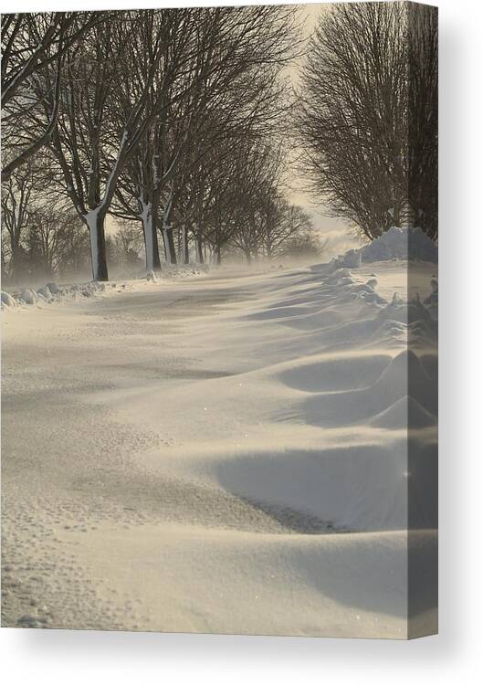 Snow Canvas Print featuring the photograph Windswept Snow by Patricia McKay