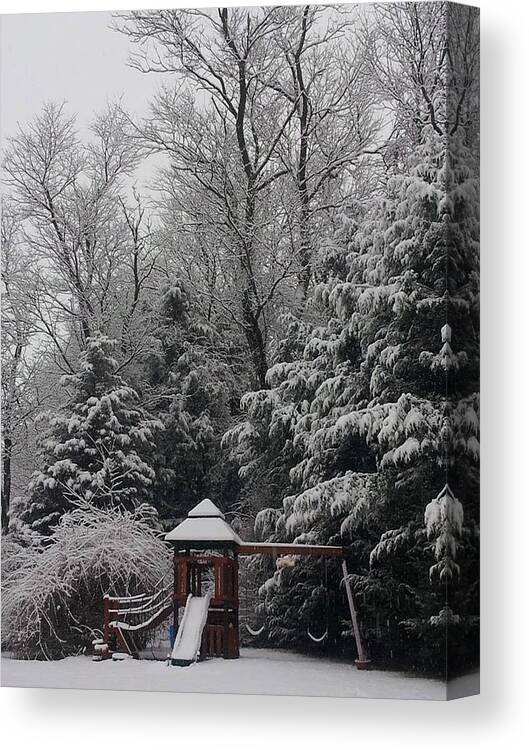 Winter Canvas Print featuring the photograph Winter In Swing by Dani McEvoy
